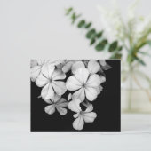 Conception de carte postale noir et blanc (Debout devant)