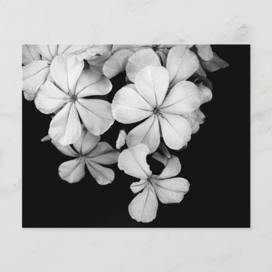 Conception de carte postale noir et blanc (Devant)