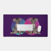 Conception de chats (Clavier et souris)
