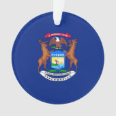 Conception de drapeau de l'État du Michigan (devant)