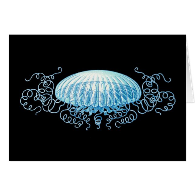 Conception de la méduse Haeckel (Devant horizontal)