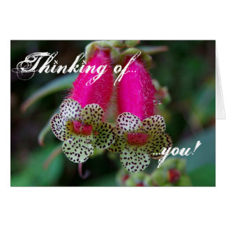 Conception de Leopard Flower