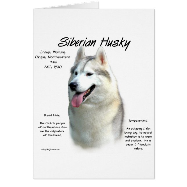 Conception de l'histoire de Husky en Sibérie (Devant)