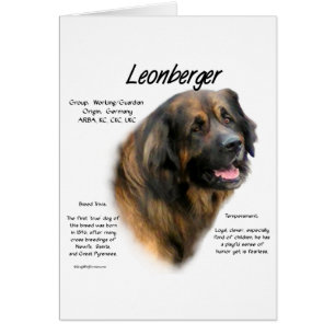 Conception de l'histoire de Leonberger