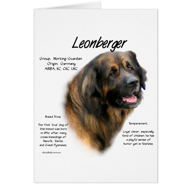 Conception de l'histoire de Leonberger (Devant)