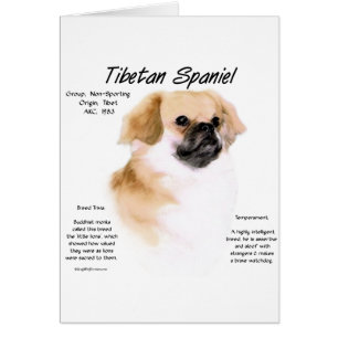 Conception de l'histoire de l'Espagne tibétaine