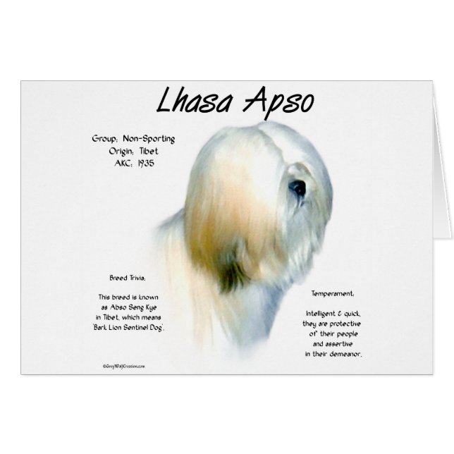 Conception de l'histoire de Lhasa Apso (Devant horizontal)