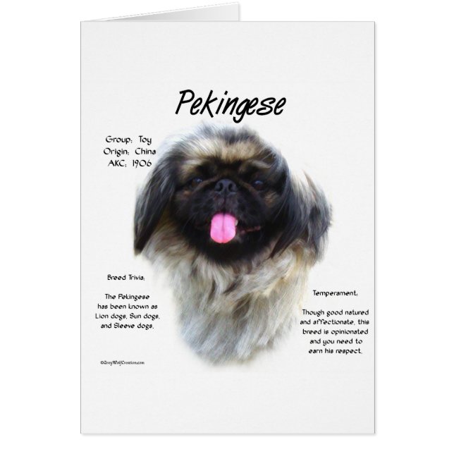 Conception de l'histoire de Pekingese (Devant)