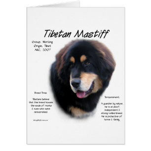 Conception de l'histoire du Mastiff tibétain