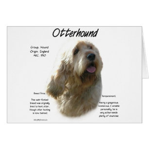 Conception de l'histoire otterhound