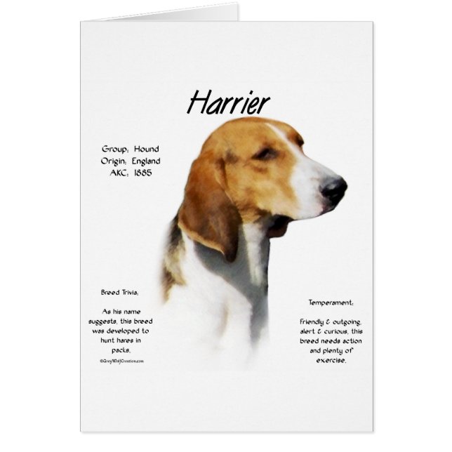 Conception de l'historique du harceleur (Devant)