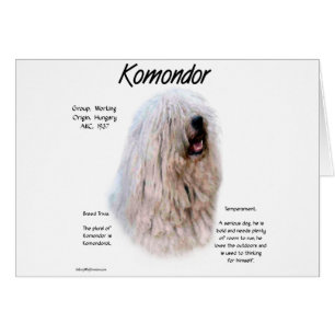 Conception de l'historique Komondor