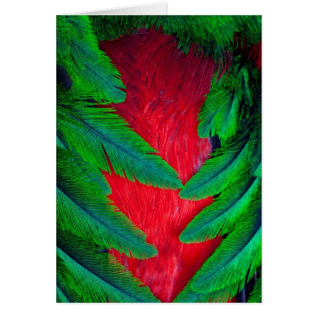 Conception de plume de Quetzal resplendissant (Devant)