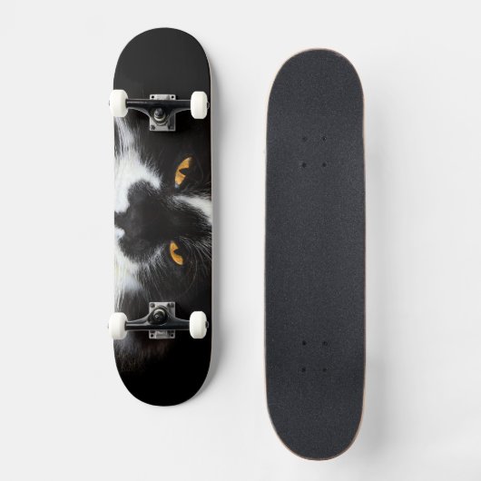 Conception de skateboard (Recto)