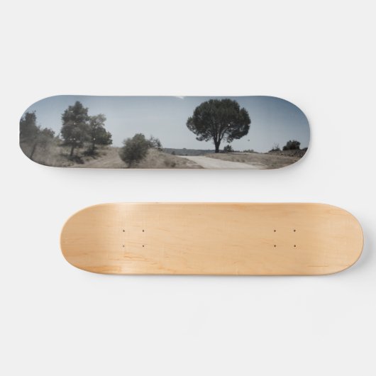 CONCEPTION DE STYLE SKATEBOARD (Horz)