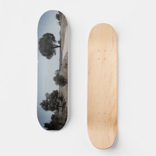 CONCEPTION DE STYLE SKATEBOARD (Recto)