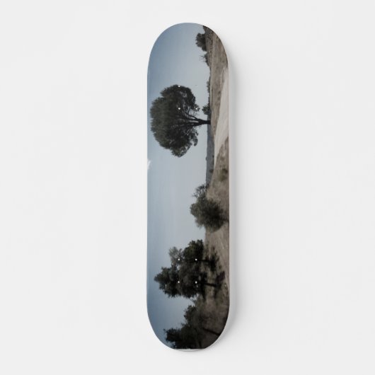 CONCEPTION DE STYLE SKATEBOARD (Devant)