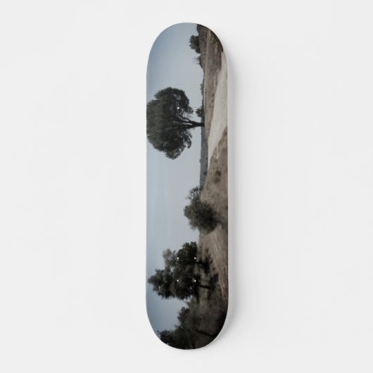 CONCEPTION DE STYLE SKATEBOARD (Devant)
