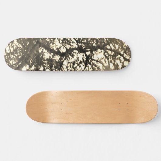 CONCEPTION DE STYLE SKATEBOARD (Horz)