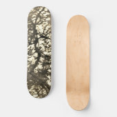 CONCEPTION DE STYLE SKATEBOARD (Recto)