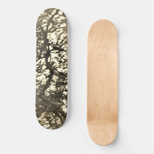 CONCEPTION DE STYLE SKATEBOARD (Recto)
