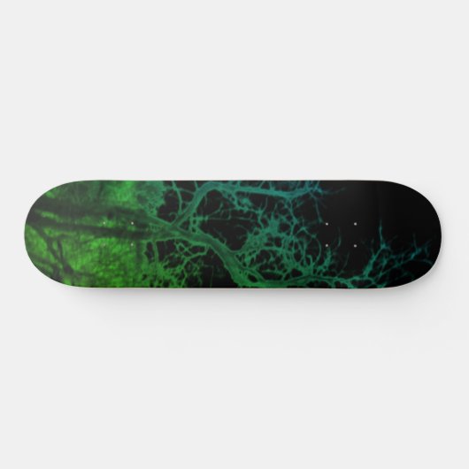 CONCEPTION DE STYLE SKATEBOARD (Horz)