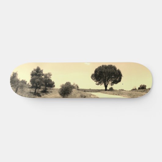 CONCEPTION DE STYLE SKATEBOARD (Horz)