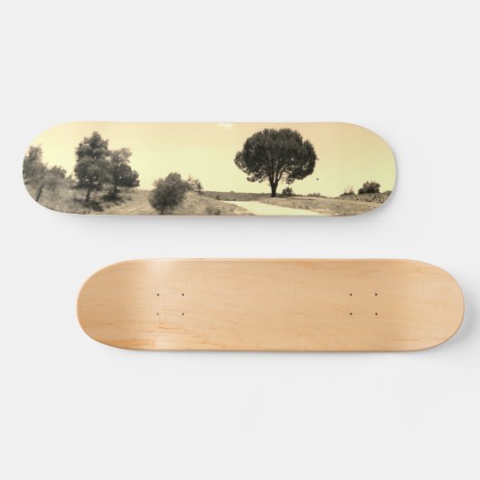 CONCEPTION DE STYLE SKATEBOARD (Horz)