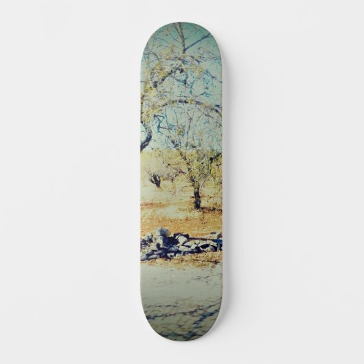 CONCEPTION DE STYLE SKATEBOARD (Recto)