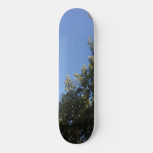 CONCEPTION DE STYLE SKATEBOARD