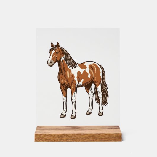 Conception de vecteur de cheval Pinto gravé antiqu (Recto)