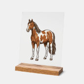 Conception de vecteur de cheval Pinto gravé antiqu (Angle)
