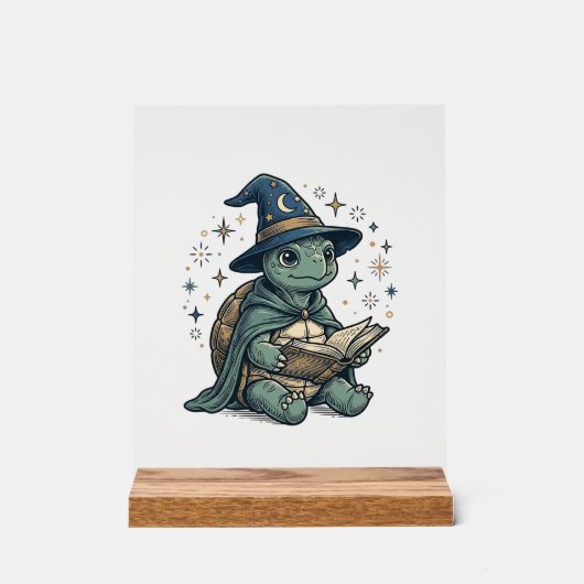 Conception de vecteur de magicien de tortue mignon (Recto)