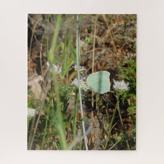 Conception de vue de jardin de puzzle style (Vertical)