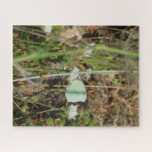 Conception de vue de jardin de puzzle style (Horizontal)