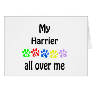 Conception des marches de Harrier