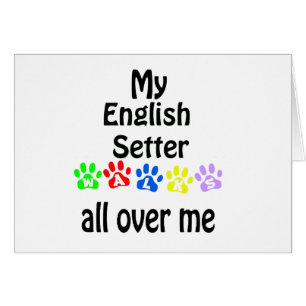 Conception des marches de Setter Anglais