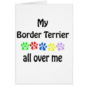 Conception des marches frontalières de Terrier