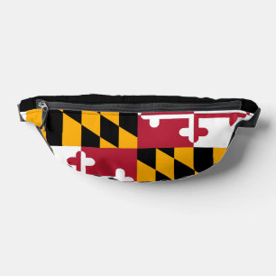 Conception du drapeau de l'État du Maryland