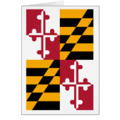 Conception du drapeau de l'État du Maryland (Devant)