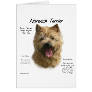 Conception historique de Norwich Terrier