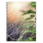 Conception Web - carnet (Devant)
