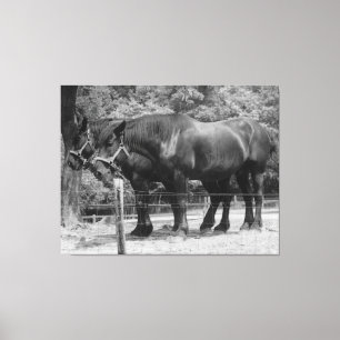Concepttest voor paardenpaar canvas afdruk