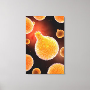 Conceptueel Afbeelding dat van Plasmodium Malaria Canvas Afdruk