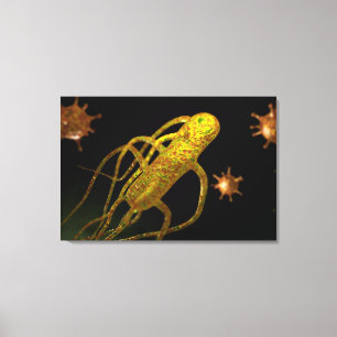 Conceptueel Afbeelding Salmonella typhi 1 Canvas Afdruk