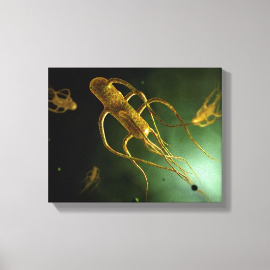 Conceptueel Afbeelding Salmonella typhi 2 Canvas Afdruk (Voorkant)