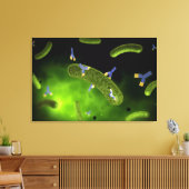 Conceptueel Afbeelding van antilichamen die bacter Canvas Afdruk (Insitu (Woonkamer))