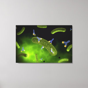 Conceptueel Afbeelding van antilichamen die bacter Canvas Afdruk