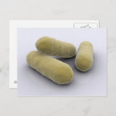 Conceptueel Afbeelding van bacteriën 2 Briefkaart (Voorkant / Achterkant)