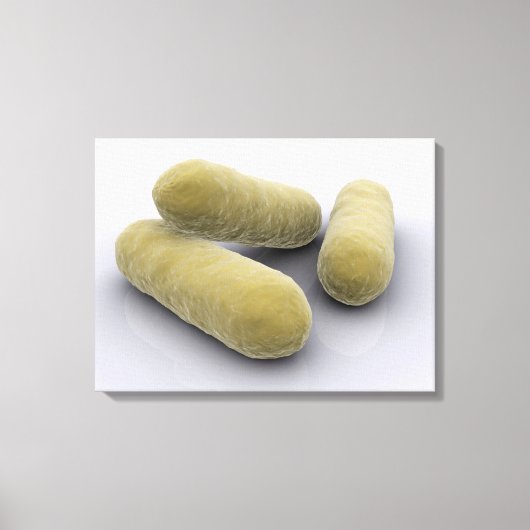 Conceptueel Afbeelding van bacteriën 2 Canvas Afdruk (Voorkant)